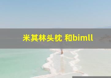 米其林头枕 和bimll